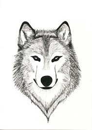 This tutorial explains how to draw a wolf's face and head step by step from the front view with detailed line drawing examples for each step. Lobo Minimalista Black And White Wolf Instagram Photo Instagram Photo