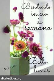 Haz click aquí para que puedas ver otra oración de gratitud. Feliz Inicio De Semana Bonitas Frases Y Mensajes Dias Festivos