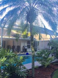 Regular water slow growing palm to 7 feet adds a tropical look. Is This A Pygmy Date Palm Discussing Palm Trees Worldwide Palmtalk
