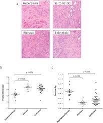 Peritoneal mesotheliomas are unusual entities with diverse origins and outcomes. Unique Fractal Evaluation And Therapeutic Implications Of Mitochondrial Morphology In Malignant Mesothelioma Scientific Reports