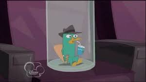 Un gif de perry, esto es para todos los fans de perry el ornitorrinco, es tan genial!!!, espero que les guste n_n. Perry The Platypus Gifs Wifflegif