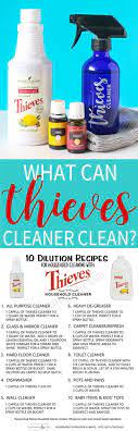Thieves products also can get rid of mold. What Can T Thieves Household Cleaner Clean Thieves Household Cleaner Cleaning Household Cleaner