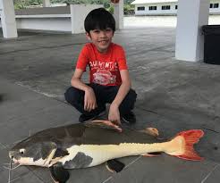 Fishing in malaysia might not be limited and restricted to the usual hot spot like rompin or even port dickson. Fishing With Kids Near Kl Happy Go Kl