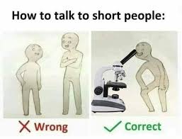 Now, how do you get past the initial introductions? How To Talk To Short People Meme Ahseeit