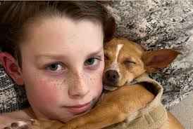 Jimmy Fallon to Host People's 40th Sexiest Man Alive Reveal — Who'll Take  the Crown in 2025?