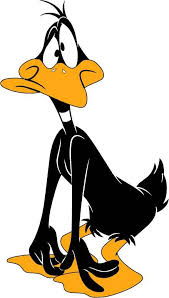 pato lucas duck cartoon looney tunes wallpaper daffy duck