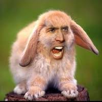 20+ "Levi Hudson" profiles