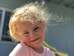 Doug Forbes Pasadena — Blog — Meow Meow Foundation