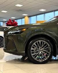 Image result for Nori Green 2025 LZ