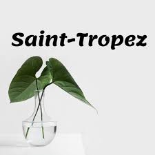 And his overall rationale for dropping the track is the fact that a number of the other tunes featured on his hollywood's. Post Malone Saint Tropez Lyrics Alyricsz Com