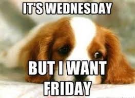 The 14 Perfect Wednesday Memes