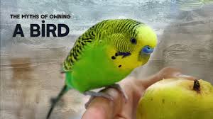 Prepare the body of the deceased pet by wrapping it in cloth and placing it in an appropriately sized box. How To Cope After The Death Of A Pet Youtube