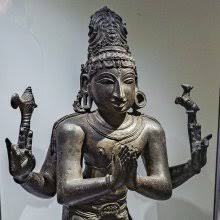 Image result for Agelanthus zizyphifolius