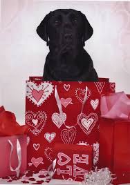11am Cute Puppy Happy Valentine S Day From Your Favorite Puppies Dog Valentines Cute Puppies Black Labrador Retriever