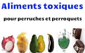 Epingle Sur Alimentation