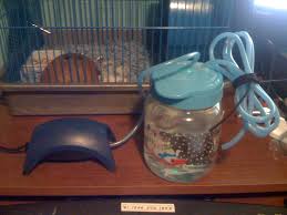 We did not find results for: The 10 Hermit Crab Tank Humifier 3 Steps Instructables