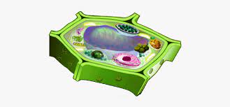 We did not find results for: Plant Cell Transparent Background Hd Png Download Transparent Png Image Pngitem