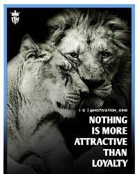 Pin On Lion Inspiraional And Life Quotes Motivation King