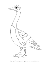 Goose coloring pages suitable for toddlers, preschool and kindergarten kids. Goose Coloring Sheet Turtle Diary