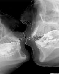 Sex-rays by Wim Delvoye