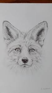Fox Pencil Drawing Original Giclee Print A4 Fox Print Etsy In 2021 Fox Pencil Drawing Pencil Drawings Of Animals Animal Drawings Sketches