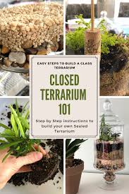 Closed Terrarium 101 7 Easy Steps To Build Your Glass Terrarium My Tasteful Space In 2020 Closed Terrarium Plants Glass Terrarium Diy Succulent Terrarium