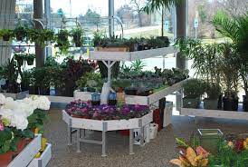 The New Petitti Garden Centers In 2020 Garden Center Indoor Plants Live Plants