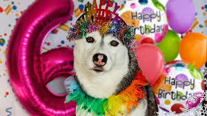 On March 13th, Kira turned 6 years old! How