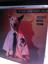 Check spelling or type a new query. All Pet Supplies Springfield Petsclub