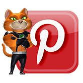 If you are looking to hire a pest control professional, a professional stump grinder, landscaper, tree removal specialist, landscape designer, lawn maintenance professional you try and do it yourself, or employ the service of a. Catseye Pest Control Catseyepest Profile Pinterest