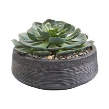 Echeveria 'giant blue' succulent plant | ebay Nearly Natural Indoor Giant Echeveria Succulent Artificial Plant 8476 The Home Depot