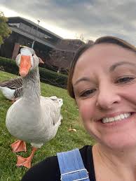 Pet Goose Introduction and Behavior