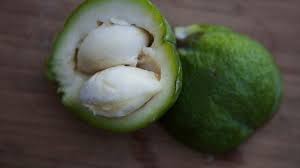 Check spelling or type a new query. Growing White Sapote Like Custard Cups On A Tree Los Angeles Times