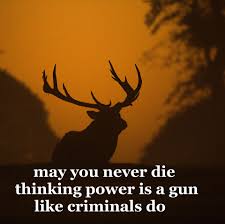 By Mike Wilson Photo By Diana Parkhouse Unsplash Instagram Photo Haiku Poems Photo And Video