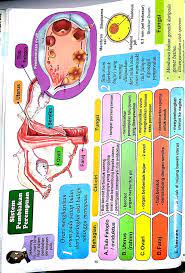 Kepentingan makanan tradisional dalam pembangunan negara. Tingkatan 1 Bab 4 Brain Genius Mastery Mathematic Facebook
