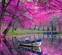 Amazing Places On Earth Google Search Beautiful Landscapes Scenery Beautiful Nature