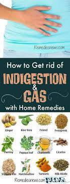 What Is The Simplest Way To Cure Gastric And Indigestion? - Quora