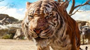 Shere khan starts hanging around the younger wolves and trying to sway them to his side, and it works a little bit. Mowgli Meets Shere Khan Scene The Jungle Book 2016 Movie Clip Youtube