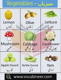 Vegetables Name In Urdu And English With Pictures In 2020 Vegetables Names With Pictures Fruits Name In English Vegetables
