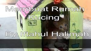 Untuk meminimalisir kerusakan perabotanmu di rumah, sebenarnya kamu bisa menggunakan kardus bekas bir sebagai sarana kucing peliharaan kamu untuk mengasah kukunya. Cara Membuat Rumah Kucing Youtube