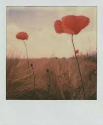 Photo Shoot Jacksonville Fl Polaroidpictures Polaroid Photography Polaroid Pictures Instant Photography