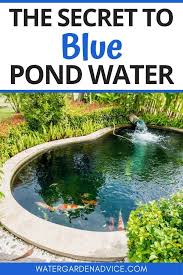 To keep ponds clear, it's best to begin treatment early in the season before problems arise. Blue Pond Water Guide Fish Pond Gardens Ponds Backyard Pond Water Features