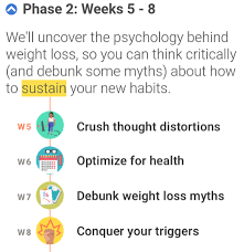 How do i reset the email address associated with my account if i forgot my myblue username and password? Is Noom A Scam My Experience Wendy S Weight Journey