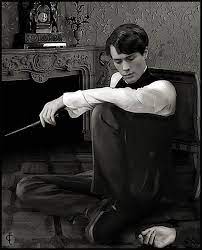 Teenage Tom Riddle Photo Tom Riddle Tom Riddle Harry Potter Characters Christian Coulson