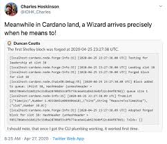 Cryptocurrency news today massive whale transactions sent three altcoins into a spiral, according to crypto analytics firm santiment 1 Cardano Shelley Hard Fork Simpleswap