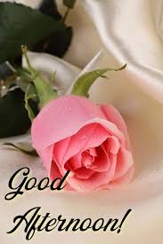 Pin By Noor Alquran On صور منوعه In 2020 Rose Purple Roses Beautiful Roses