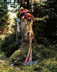 „so kann man beweisen, dass der abgeholzte baum. 41 Baum Fallen Ideen Baum Fallen Motorsage Kettensage