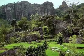 Pilkada serentak 2020 gunungkidul melibatkan 4 profil pasangan calon bupati (cabup) dan calon wakil bupati (cawabup). Belajar Sejarah Geopark Gunung Sewu Apa Menariknya Halaman All Kompas Com