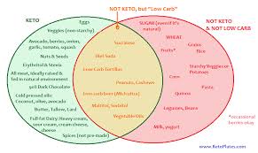 Strict Keto Vs Low Carb Food Diagram Keto Plates