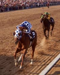 Secretariat 1973 Preakness Stakes 104 Gallery Of Champions